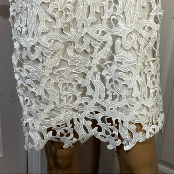 Zara White Sheath Lace Midi Dress with Flutter Sleeves sz small - Picture 2 of 9